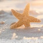 starfish-art-starfish-photography-beach-cottage-bathroom-decor-starfish-large-wall-art-starfish-print-sand-and-sun-beach-photography-5a614f53